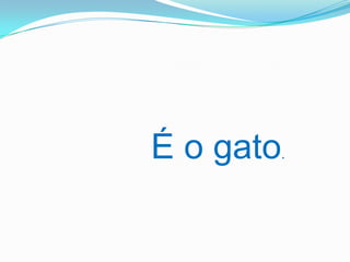É o gato.