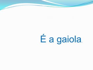 É a gaiola.