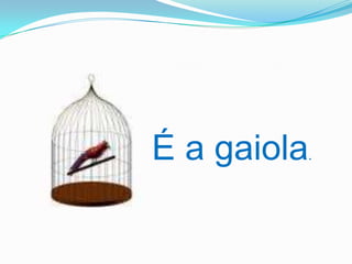 É a gaiola.