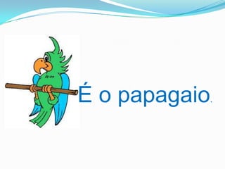 É o papagaio.
