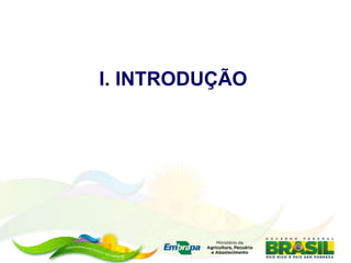 I. INTRODUÇÃO
 
