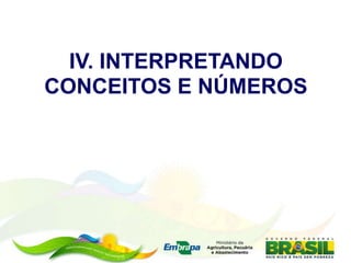 IV. INTERPRETANDO
CONCEITOS E NÚMEROS
 