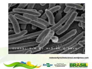 notexactlyrocketscience.wordpress.com
 