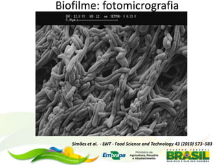 Simões et al. - LWT - Food Science and Technology 43 (2010) 573–583
Biofilme: fotomicrografia
 