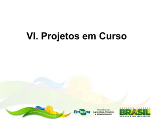 VI. Projetos em Curso
 