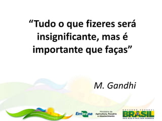 “Tudo o que fizeres será
insignificante, mas é
importante que faças”
M. Gandhi
 