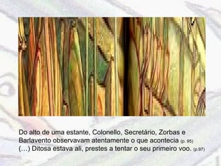 Do alto de uma estante, Colonello, Secretário, Zorbas e Barlavento observavam atentamente o que acontecia  (p. 95) (…) Ditosa estava ali, prestes a tentar o seu primeiro voo.  (p.97) 