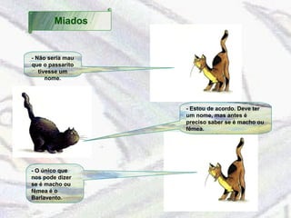 - Não seria mau que o passarito tivesse um nome. - Estou de acordo. Deve ter um nome, mas antes é preciso saber se é macho ou fêmea. - O único que nos pode dizer se é macho ou fêmea é o Barlavento. Miados 