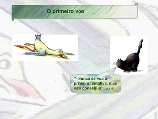 O primeiro voo “ - Nunca se voa à primeira tentativa, mas vais conseguir”.  (p.111) 