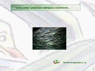 “ como setas” pescavam arenques e sonhavam… Sonhos de gaivotas ( p. 15)   