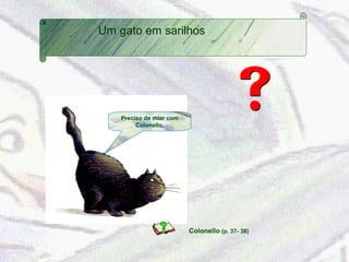 Um gato em sarilhos 
Colonello (p. 37- 38) 
Preciso de miar com 
Colonello. 
 