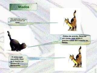 Miados 
- Não seria mau que o 
passarito tivesse um 
nome. 
- Estou de acordo. Deve ter 
um nome, mas antes é 
preciso saber se é macho ou 
fêmea. 
- O único que 
nos pode dizer 
se é macho ou 
fêmea é o 
Barlavento. 
 