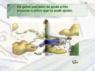 Os gatos precisam de ajuda e vão 
procurar o único que os pode ajudar. 
 