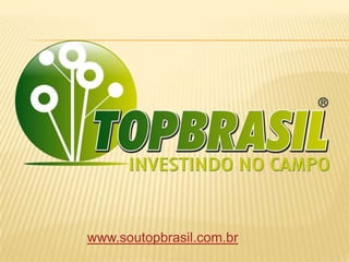 www.soutopbrasil.com.br
 