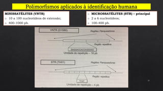 15
MINISSATÉLITES (VNTR)
o 10 a 100 nucleotídeos de extensão;
o 400-1000 pb.
o MICROSSATÉLITES (STR) – principal
o 2 a 6 nucleotídeos;
o 100-400 pb.
 