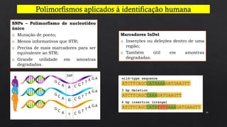 16
SNPs – Polimorfismo de nucleotídeo
único
o Mutação de ponto;
o Menos informativos que STR;
o Precisa de mais marcadores para ser
equivalente ao STR;
o Grande utilidade em amostras
degradadas.
Marcadores InDel
o Inserções ou deleções dentro de uma
região;
o Também útil em amostras
degradadas.
 