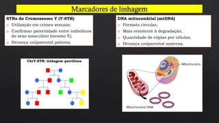 17
STRs do Cromossomo Y (Y-STR)
o Utilização em crimes sexuais;
o Confirmar paternidade entre indivíduos
do sexo masculino (mesmo Y);
o Herança uniparental paterna.
DNA mitocondrial (mtDNA)
o Formato circular;
o Mais resistente à degradação;
o Quantidade de cópias por células;
o Herança uniparental materna.
 