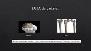 38
Dentes Ossos
Tecidos orgânicos começam a entrar em decomposição → diminui o DNA para identificação
 