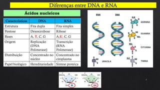 5
Ácidos nucleicos
Características DNA RNA
Estrutura Fita dupla Fita simples
Pentose Desoxirribose Ribose
Bases A, T, C, G A,U, C, G
Origem Replicação
(DNA
Polimerase)
Transcrição
(RNA
Polimerase)
Distribuição Concentrado no
núcleo
Concentrado no
citoplasma
Papel biológico Hereditariedade Síntese proteica
 