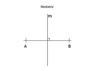 Mediatriz
 