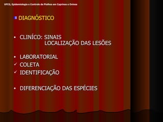 DIAGNÓSTICO CLINÍCO: SINAIS  LOCALIZAÇÃO DAS LESÕES LABORATORIAL COLETA IDENTIFICAÇÃO DIFERENCIAÇÃO DAS ESPÉCIES UFCG, Epidemiologia e Controle de Piolhos em Caprinos e Ovinos 