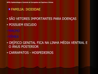 FAMILIA: IXODIDAE SÃO VETORES IMPORTANTES PARA DOENÇAS POSSUEM ESCUDO MACHO FÊMEA ORÍFICO GENITAL FICA NA LINHA MÉDIA VENTRAL E  O ÂNUS POSTERIOR CARRAPATOS - HOSPEDEIROS UFCG, Epidemiologia e Controle de Carrapatos em Caprinos e Ovinos 