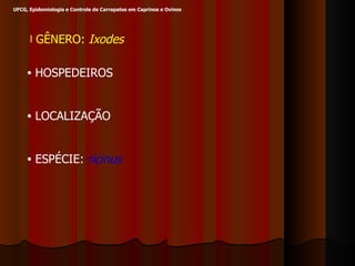 GÊNERO:  Ixodes HOSPEDEIROS LOCALIZAÇÃO ESPÉCIE:  ricinus UFCG, Epidemiologia e Controle de Carrapatos em Caprinos e Ovinos 