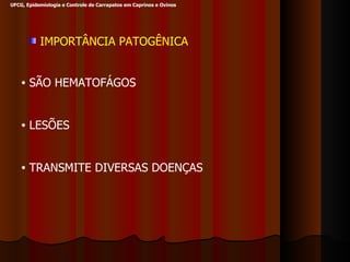 IMPORTÂNCIA PATOGÊNICA SÃO HEMATOFÁGOS LESÕES TRANSMITE DIVERSAS DOENÇAS  UFCG, Epidemiologia e Controle de Carrapatos em Caprinos e Ovinos 