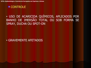 CONTROLE USO DE ACARICIDA QUÍMICOS, APLICADOS POR BANHO DE IMERSÃO TOTAL OU SOB FORMA SE SPRAY, DUCHA OU SPOT-ON GRAVEMENTE AFETADOS UFCG, Epidemiologia e Controle de Carrapatos em Caprinos e Ovinos 