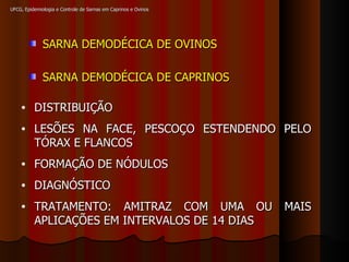 UFCG, Epidemiologia e Controle de Sarnas em Caprinos e Ovinos  SARNA DEMODÉCICA DE OVINOS SARNA DEMODÉCICA DE CAPRINOS DISTRIBUIÇÃO LESÕES NA FACE, PESCOÇO ESTENDENDO PELO TÓRAX E FLANCOS FORMAÇÃO DE NÓDULOS DIAGNÓSTICO TRATAMENTO: AMITRAZ COM UMA OU MAIS APLICAÇÕES EM INTERVALOS DE 14 DIAS 