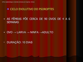 UFCG, Epidemiologia e Controle de Sarnas em Caprinos  Ovinos CICLO EVOLUTIVO DO PSOROPTES AS FÊMEAS PÕE CERCA DE 90 OVOS DE 4 A 6 SEMANAS OVO  -> LARVA -> NINFA ->ADULTO DURAÇÃO: 10 DIAS 