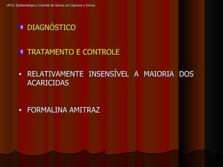 UFCG, Epidemiologia e Controle de Sarnas em Caprinos e Ovinos TRATAMENTO E CONTROLE RELATIVAMENTE INSENSÍVEL A MAIORIA DOS ACARICIDAS FORMALINA AMITRAZ DIAGNÓSTICO 