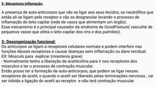 2- Mecanismo inﬂamação:
A presença de auto-anticorpos que vão se ligar aos seus tecidos, os neutróﬁlos que
estão ali se ligam pelo receptor e vão se desgranular levando o processo de
inﬂamação do leito capilar (rede de vasos que alimentam um órgão).
Esse mecanismo é o principal causador da síndrome de GoodPasture( vasculite de
pequenos vasos que afeta o leito capilar dos rins e dos pulmões).
3- Desorganização funcional:
Os anticorpos se ligam a receptores celulares normais e podem interferir nas
funções desses receptores e causar doenças sem inﬂamação ou dano tecidual.
EX: Músculo para explicar (miastenia grave)
- Normalmente tenho a liberação de acetilcolina para ir nos receptores dos
músculos e ter o processo de contração muscular.
Então posso ter a formação de auto-anticorpos, que podem se ligar nesses
receptores de acetil, e quando o acetil ser liberado pelas terminações nervosas , vai
ser inibida a ligação do acetil ao receptor e não terá contração muscular.
 