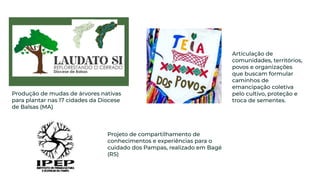 Produção de mudas de árvores nativas
para plantar nas 17 cidades da Diocese
de Balsas (MA)
Projeto de compartilhamento de
conhecimentos e experiências para o
cuidado dos Pampas, realizado em Bagé
(RS)
Articulação de
comunidades, territórios,
povos e organizações
que buscam formular
caminhos de
emancipação coletiva
pelo cultivo, proteção e
troca de sementes.
 