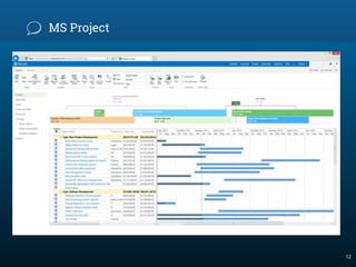 MS Project
12
 