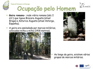 Natural Treasures of Europe


             Ocupação pelo Homem
 Geira romana- rede viária romana (séc I
  d.C.) que ligava Bracara Augusta (atual
  Braga) a Asturica Augusta (atual Astorga,
  Espanha).
 A geira era assinalada por marcos miliários,
  colocados milha a milha (1418 metros).


                                                        Marco miliário




                                          Ao longo da geira, existem vários
                                           grupos de marcos miliários.
 