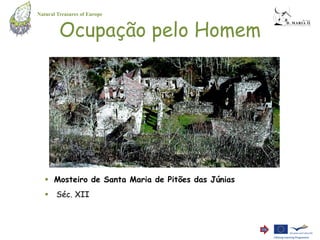 Natural Treasures of Europe


         Ocupação pelo Homem




    Mosteiro de Santa Maria de Pitões das Júnias
    Séc. XII
 