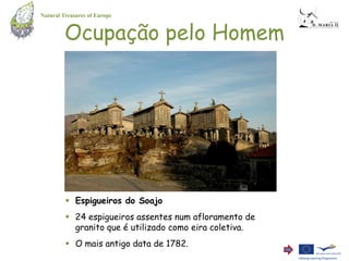Natural Treasures of Europe


         Ocupação pelo Homem




          Espigueiros do Soajo
          24 espigueiros assentes num afloramento de
           granito que é utilizado como eira coletiva.
          O mais antigo data de 1782.
 