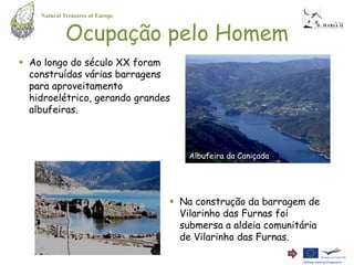 Natural Treasures of Europe


             Ocupação pelo Homem
 Ao longo do século XX foram
  construídas várias barragens
  para aproveitamento
  hidroelétrico, gerando grandes
  albufeiras.



                                      Albufeira da Caniçada




                                   Na construção da barragem de
                                    Vilarinho das Furnas foi
                                    submersa a aldeia comunitária
                                    de Vilarinho das Furnas.
 