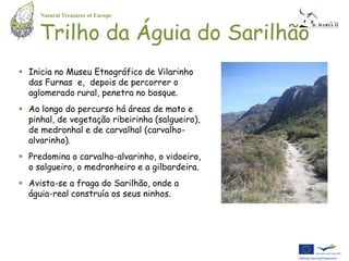 Natural Treasures of Europe


     Trilho da Águia do Sarilhão
 Inicia no Museu Etnográfico de Vilarinho
  das Furnas e, depois de percorrer o
  aglomerado rural, penetra no bosque.
 Ao longo do percurso há áreas de mato e
  pinhal, de vegetação ribeirinha (salgueiro),
  de medronhal e de carvalhal (carvalho-
  alvarinho).
 Predomina o carvalho-alvarinho, o vidoeiro,
  o salgueiro, o medronheiro e a gilbardeira.
 Avista-se a fraga do Sarilhão, onde a
  águia-real construía os seus ninhos.
 