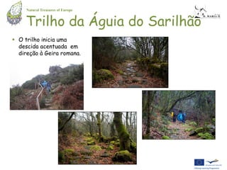 Natural Treasures of Europe


    Trilho da Águia do Sarilhão
 O trilho inicia uma
  descida acentuada em
  direção à Geira romana.
 