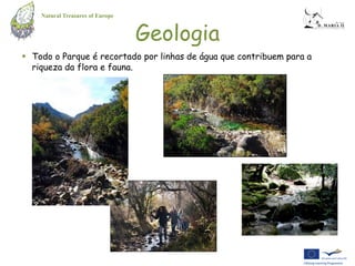 Natural Treasures of Europe


                                  Geologia
 Todo o Parque é recortado por linhas de água que contribuem para a
  riqueza da flora e fauna.
 