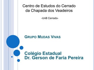 GRUPO MUDAS VIVAS
Colégio Estadual
Dr. Gerson de Faria Pereira
Centro de Estudos do Cerrado
da Chapada dos Veadeiros
-UnB Cerrado-
 