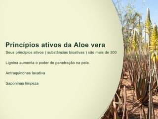 Apresentação geísa