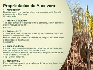 Apresentação geísa