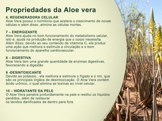 Apresentação geísa