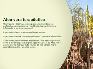 Apresentação geísa