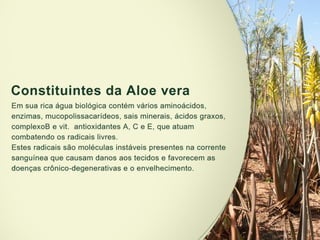 Apresentação geísa