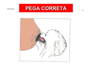 PEGA CORRETA 