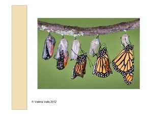  Valéria Valls 2012
 